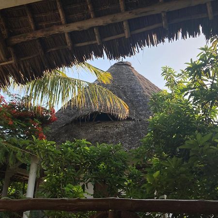 Pasa Lodge Zanzibar Nungwi Dış mekan fotoğraf