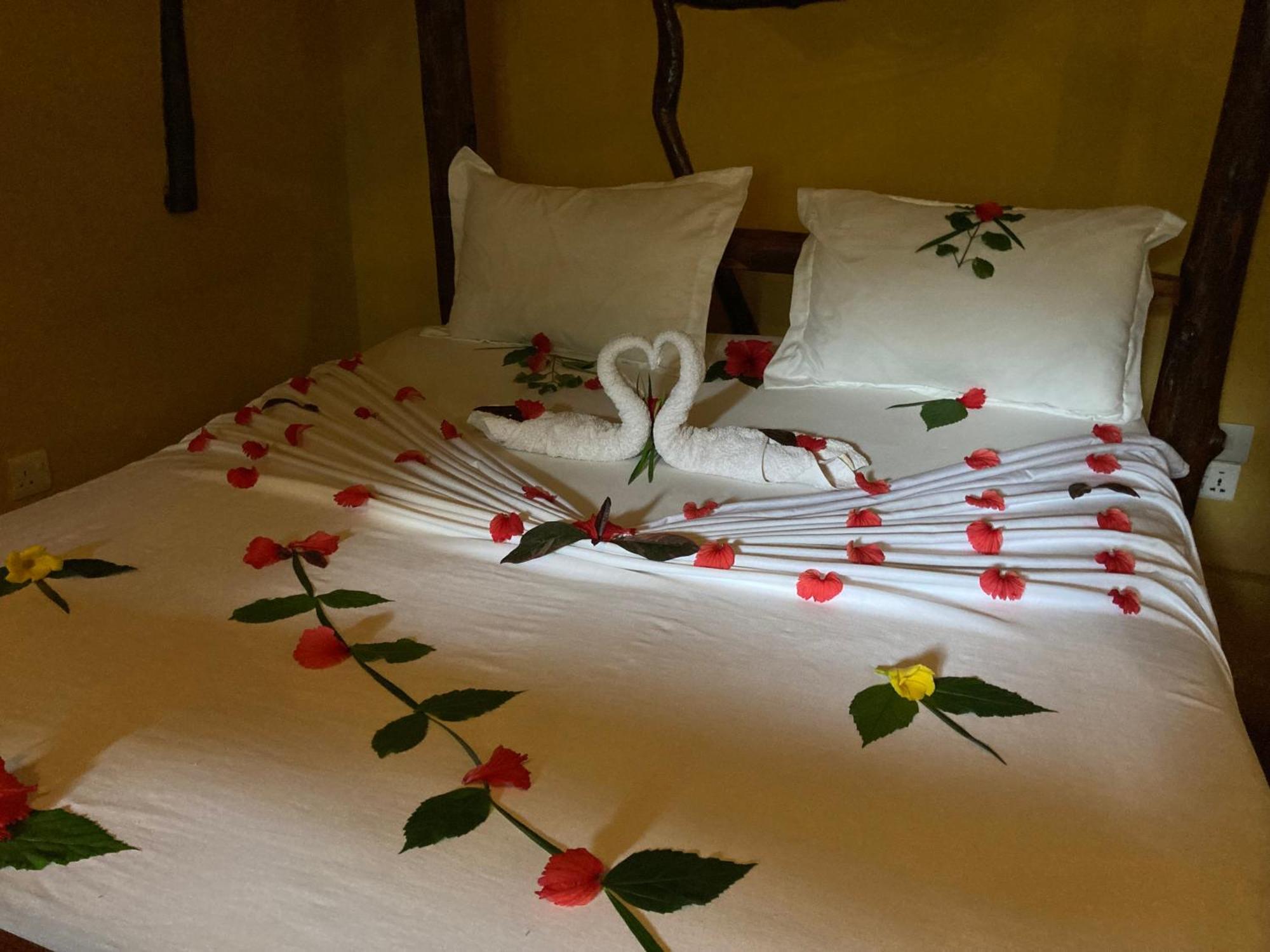 Pasa Lodge Zanzibar Nungwi Oda fotoğraf